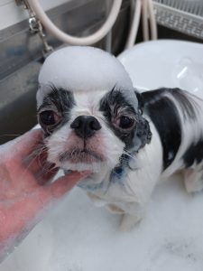 20260113_105413_copy_2700x3600_1