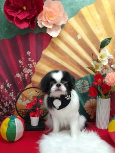 20260113_120831_copy_2066x2755