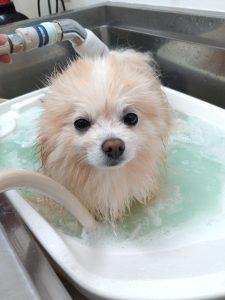 20260113_124544_copy_2056x2744