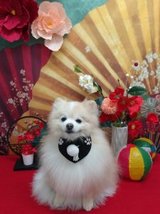 20260113_135713_copy_2050x2733