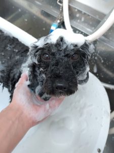 20260113_145143_copy_2626x3501_1