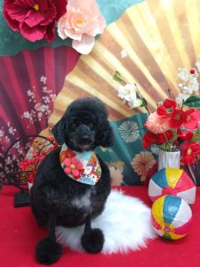 20260113_165449_copy_1937x2582