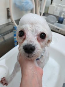 20260113_172157_copy_2500x3334