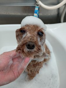 20260115_104103_copy_2519x3359