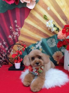 20260115_122546(1)~2_copy_1963x2618