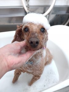 20260115_130851_copy_2668x3557_1