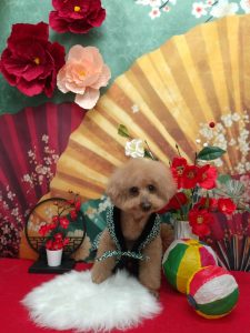 20260115_153807_copy_1944x2593