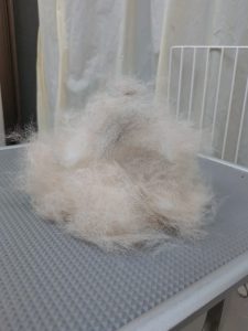 20260115_171921_copy_2700x3600_1