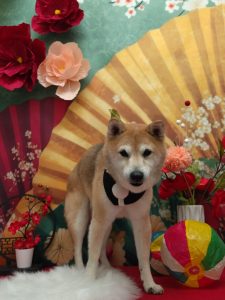 20260115_172818~2_copy_1922x2564