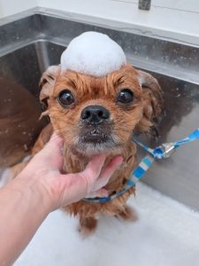 20260115_175515_copy_2878x3838