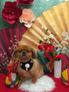 20260115_191541_copy_1956x2608