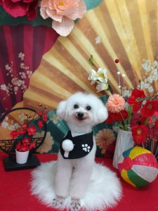 20260116_120157_copy_2020x2693