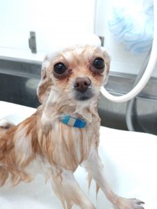 20260116_122826_copy_2781x3708