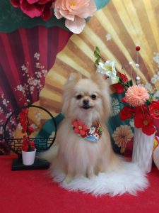 20260116_133640(1)_copy_2041x2720