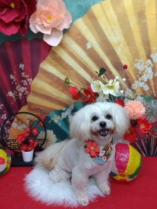 20260116_160227_copy_1989x2652