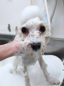 20260116_170632_copy_2522x3363