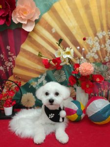 20260116_190554(1)~2_copy_2012x2684