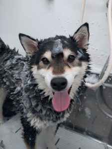 20260117_092414_copy_2557x3409