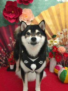 20260117_105536_copy_2020x2694_copy_2511x3347