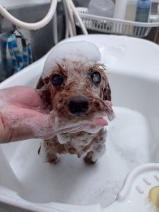 20260117_111512_copy_3289x4385