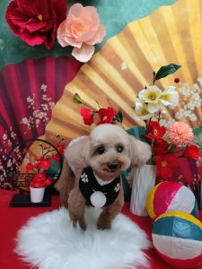 20260117_134314~2_copy_3000x4000