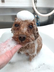 20260117_141703_copy_2967x3956