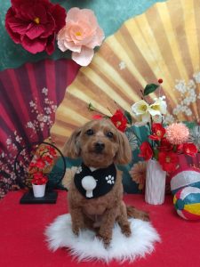 20260117_183832(1)_copy_1930x2573