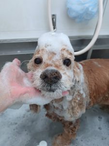 20260119_101253_copy_2700x3600_1