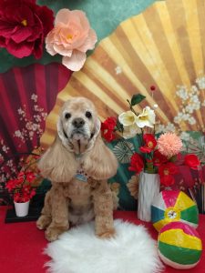 20260119_130146(1)_copy_1962x2616