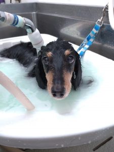 20260119_131700_copy_2046x2730