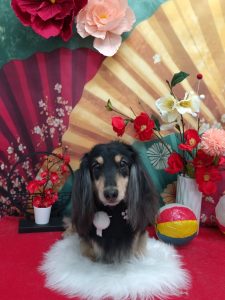 20260119_141826_copy_1973x2632