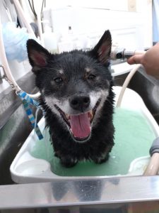 20260119_144032_copy_2098x2796