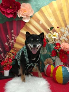 20260119_153928_copy_1955x2608