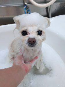 20260119_155618(1)_copy_2643x3524