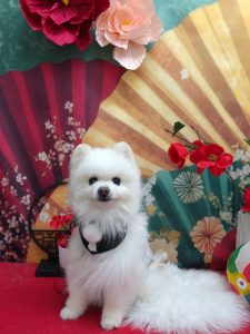 20260119_171039~2_copy_2032x2712