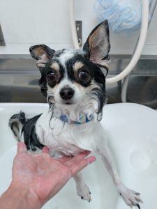 20260119_173048_copy_3000x4000