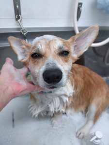 20260119_182404_copy_3000x4000