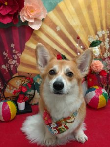 20260119_190442_copy_1940x2587