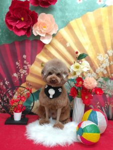 20260120_120857_copy_1912x2549