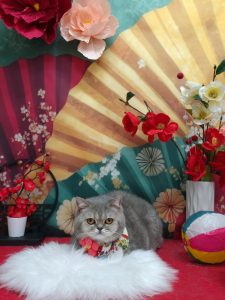 20260120_132002~2_copy_1993x2657