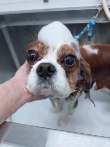 20260120_141513_copy_2700x3600_1