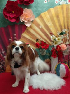 20260120_153901_copy_2072x2766