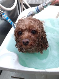 20260120_170751_copy_2014x2684