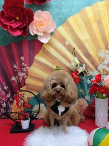 20260120_182952~2_copy_1979x2638