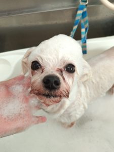 20260122_095500_copy_5278x7038