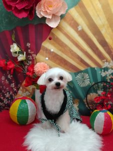 20260122_120506_copy_2027x2701