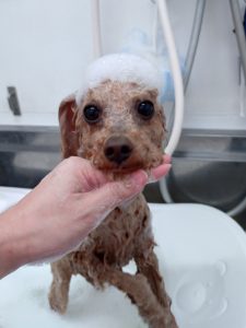 20260122_123633_copy_2700x3600_1