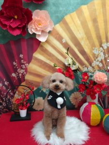 20260122_143215_copy_1995x2663