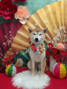 20260122_161220_copy_2019x2693