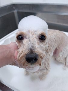 20260122_174147_copy_2503x3337